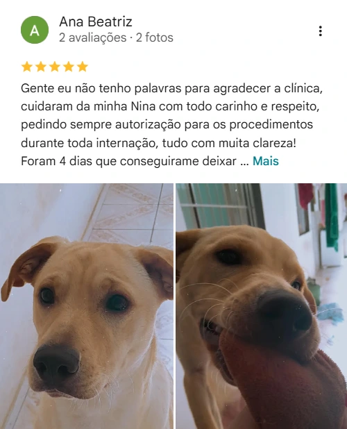 Avaliação 2