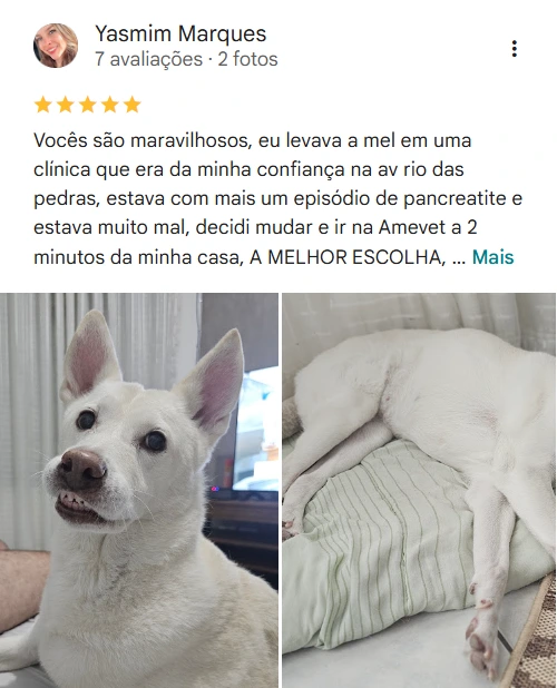 Avaliação 3