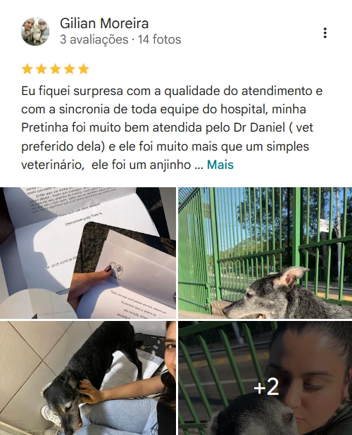Avaliação 4