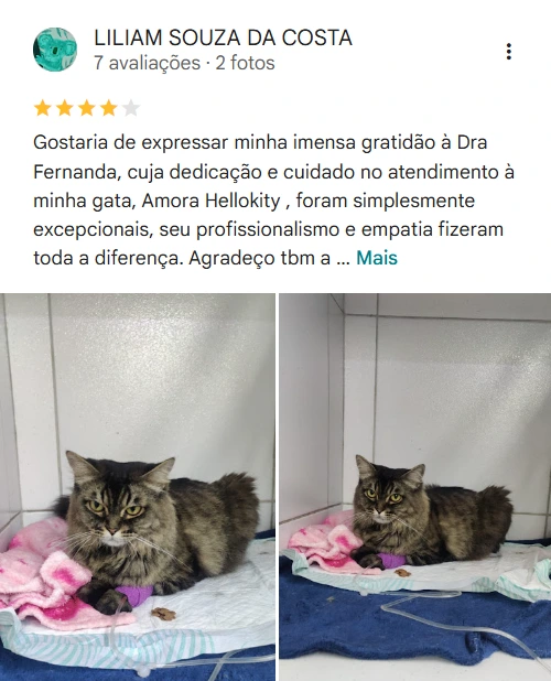 Avaliação 5