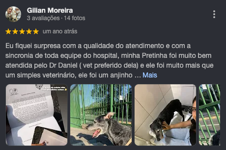Avaliação Gilian Moreira