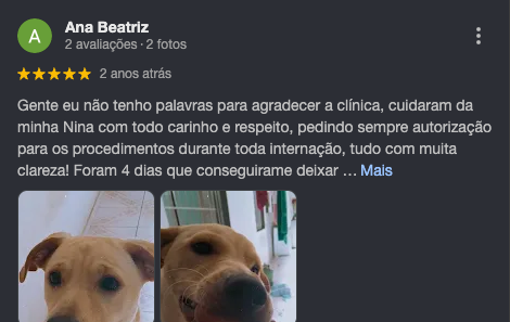 Avaliação Ana Beatriz